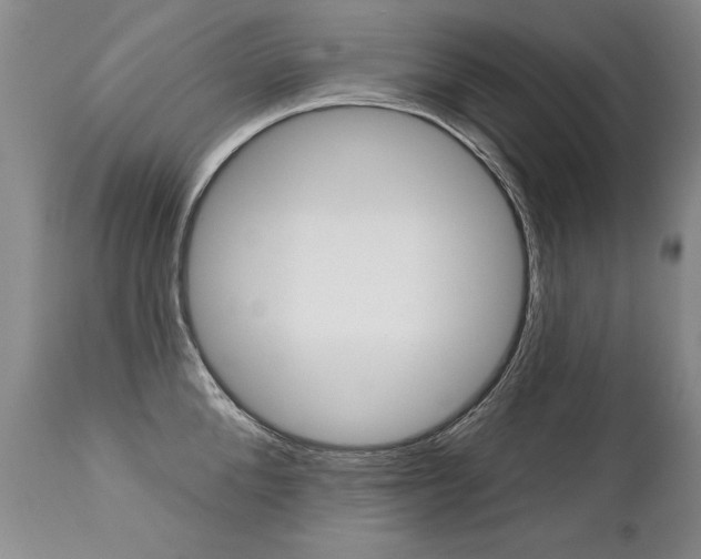 X0000112460904200908171013