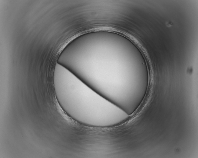 X0000112460905200908171013