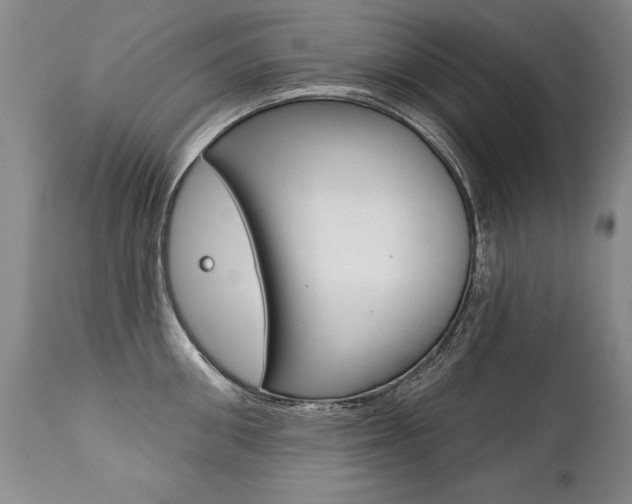 X0000112460906200908171013