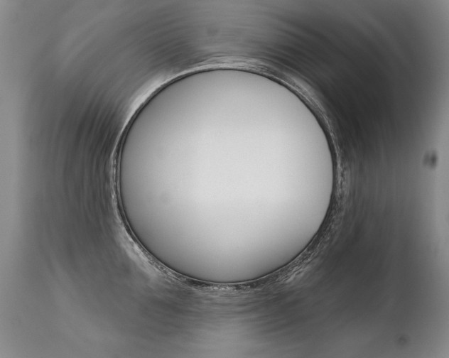 X0000112460907200908171013