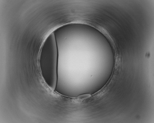 X0000112460908200908171013