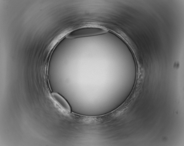 X0000112460909200908171013