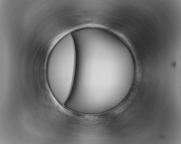 X0000112460910200908171012