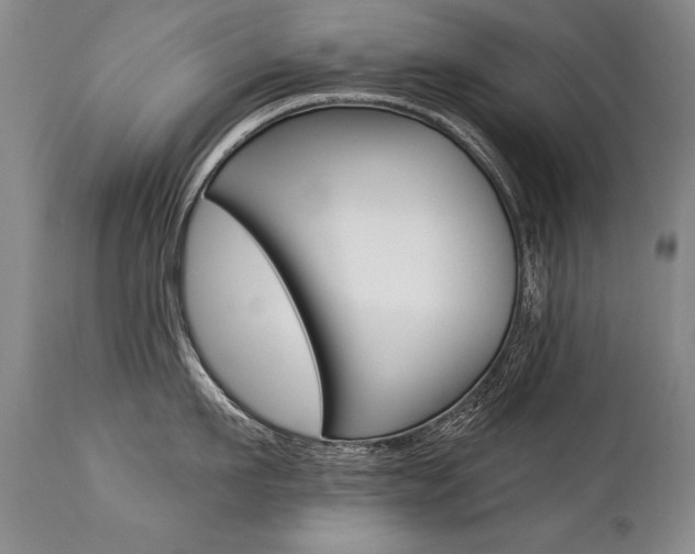 X0000112460911200908171012