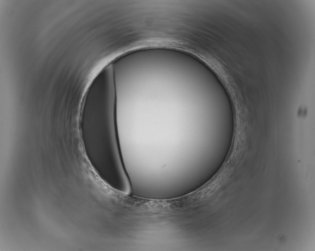 X0000112460912200908171012