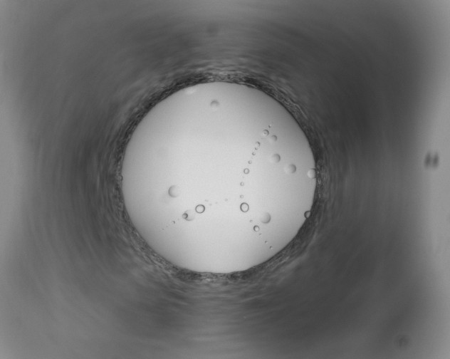 X0000112460913200908171012
