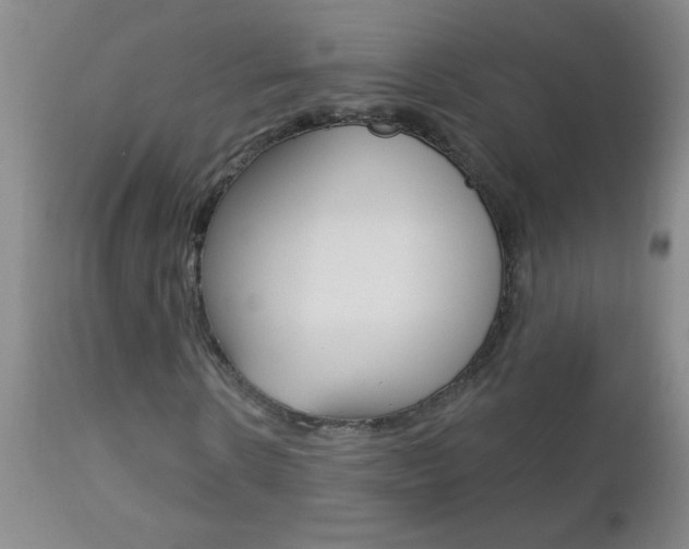 X0000112460914200908171012