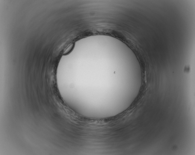 X0000112460915200908171012