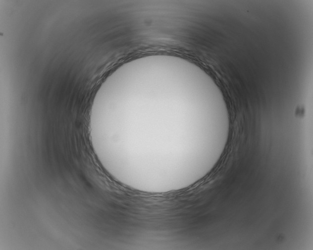 X0000112460916200908171012