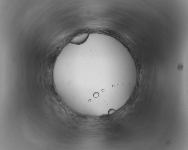 X0000112460917200908171012