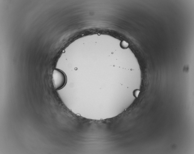 X0000112460918200908171012