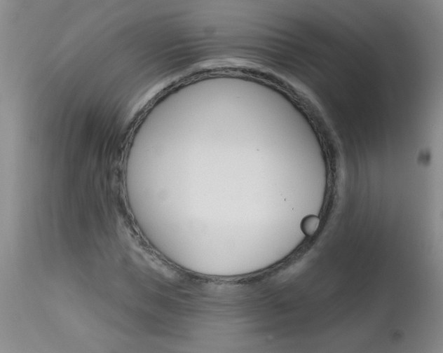 X0000112460921200908171012