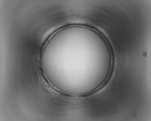 X0000112460922200908171012