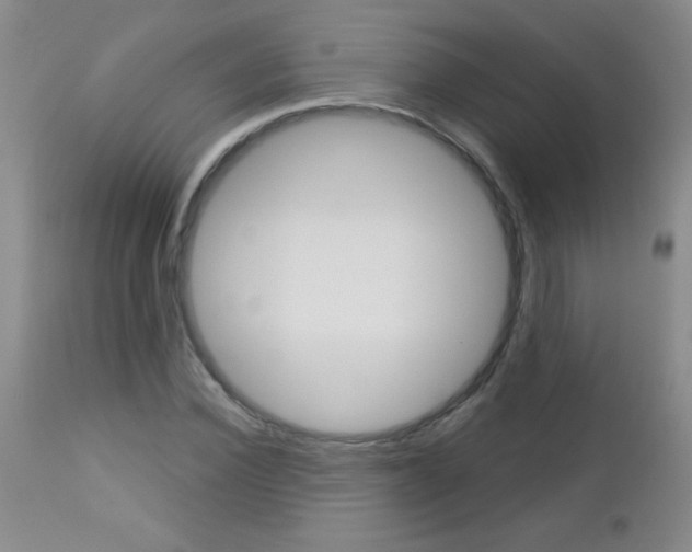 X0000112460924200908171012