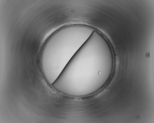 X0000112460925200908171012