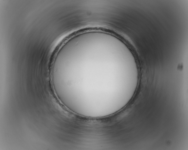 X0000112460927200908171012