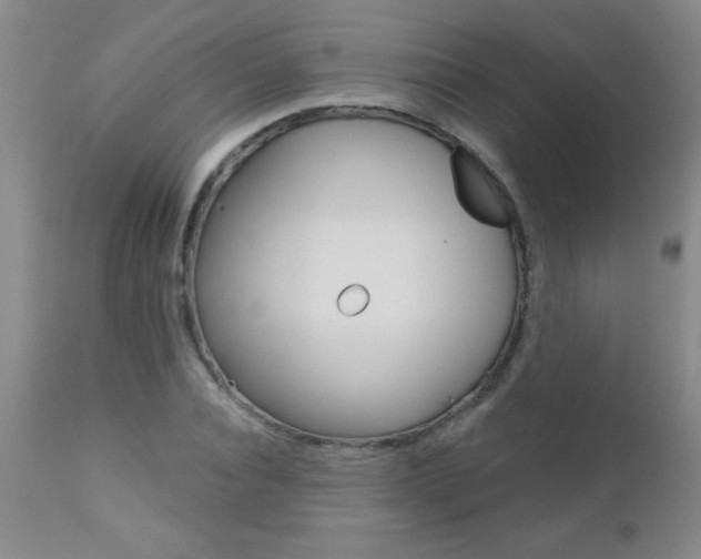 X0000112460928200908171012