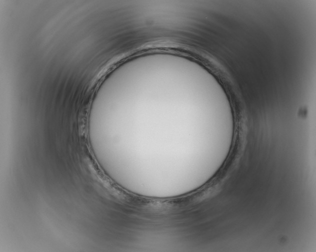 X0000112460929200908171012