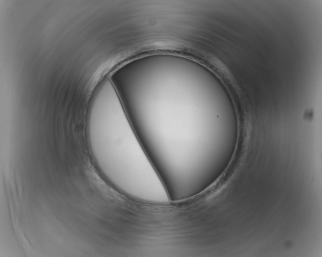 X0000112460930200908171012