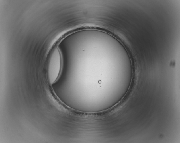 X0000112460934200908171012