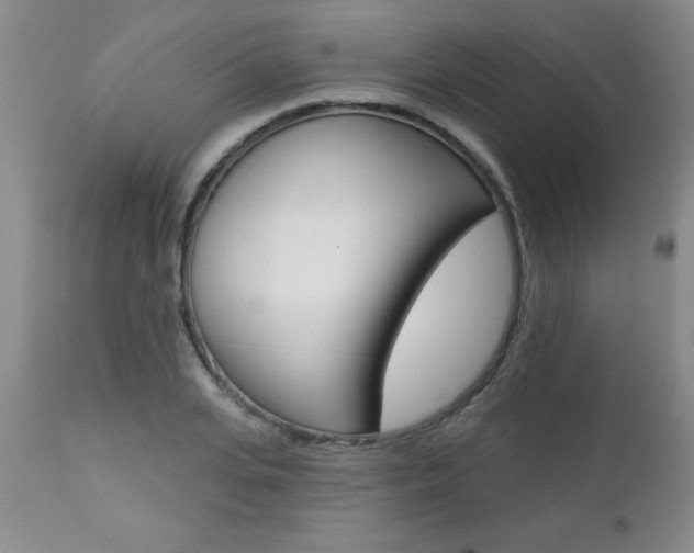 X0000112460935200908171012