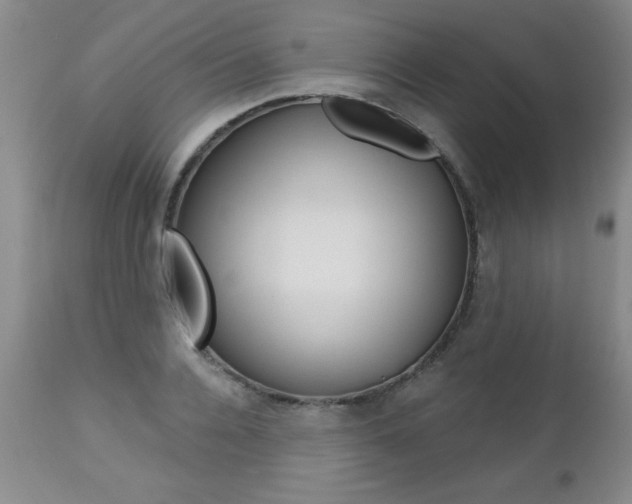 X0000112460936200908171012