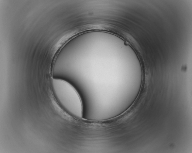 X0000112460938200908171012