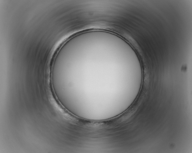 X0000112460939200908171012