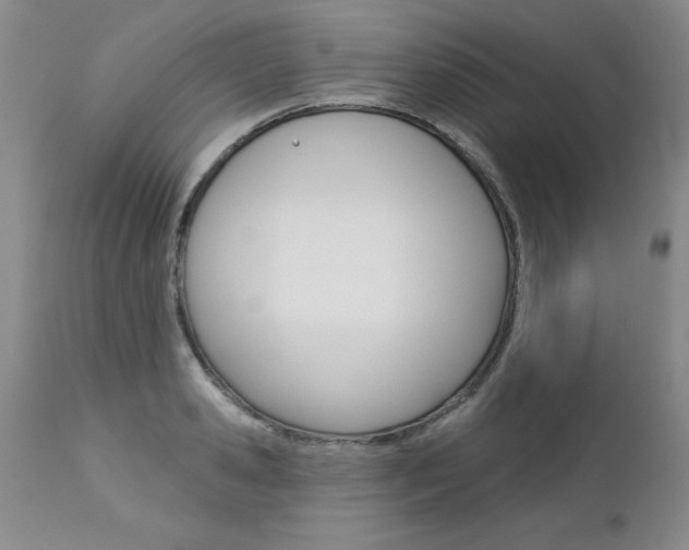 X0000112460941200908171012