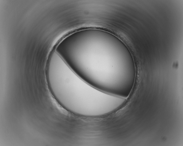 X0000112460942200908171012