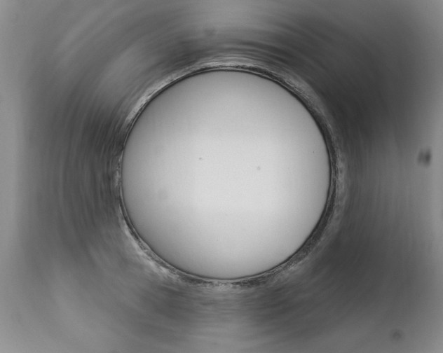 X0000112460945200908171012