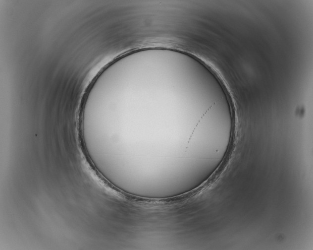 X0000112460949200908171012