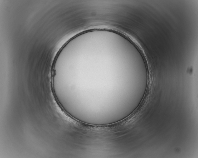 X0000112460951200908171012