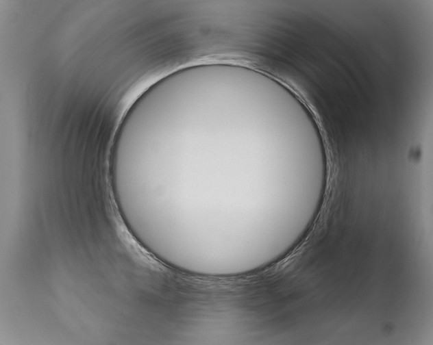 X0000112460952200908171012
