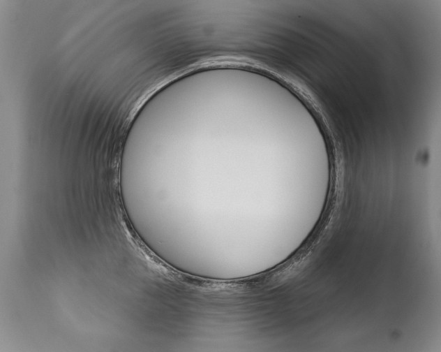X0000112460953200908171012