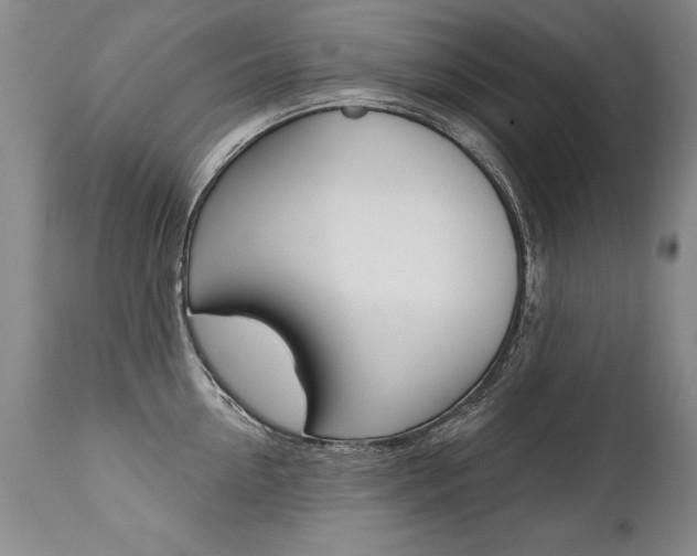 X0000112460954200908171012