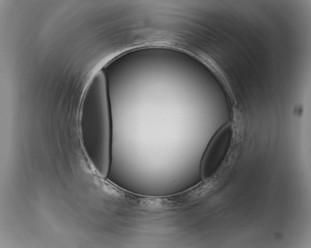 X0000112460956200908171012