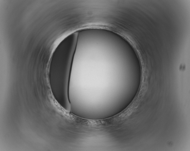 X0000112460960200908171012