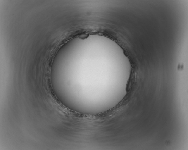 X0000112460961200908171012