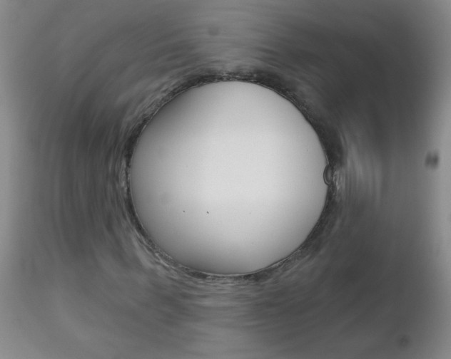 X0000112460963200908171012