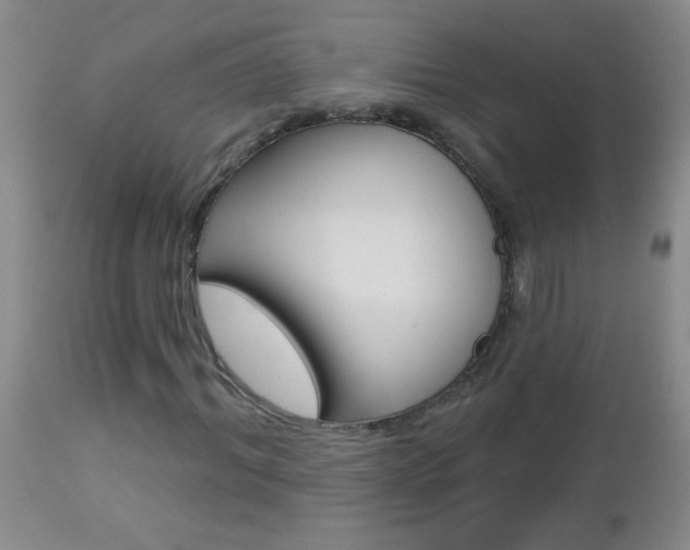 X0000112460964200908171012