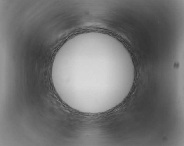 X0000112460965200908171012