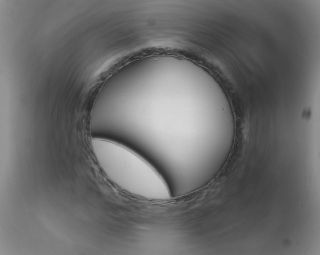 X0000112460968200908171012