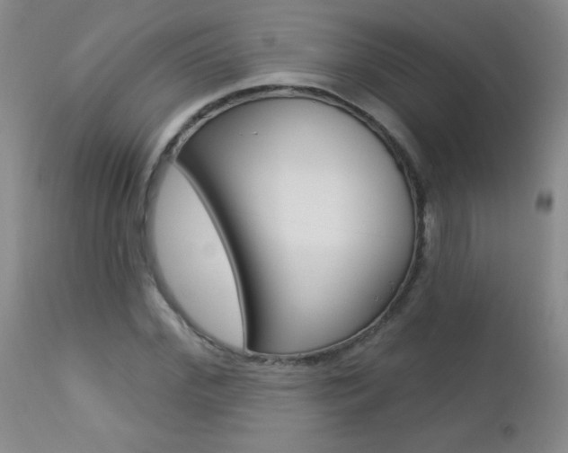 X0000112460972200908171012