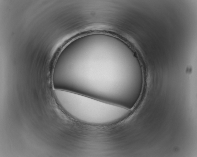 X0000112460973200908171011