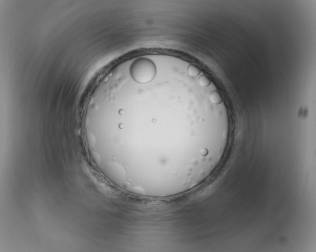 X0000112460974200908171011
