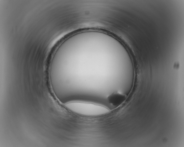 X0000112460975200908171011