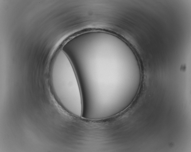 X0000112460976200908171011