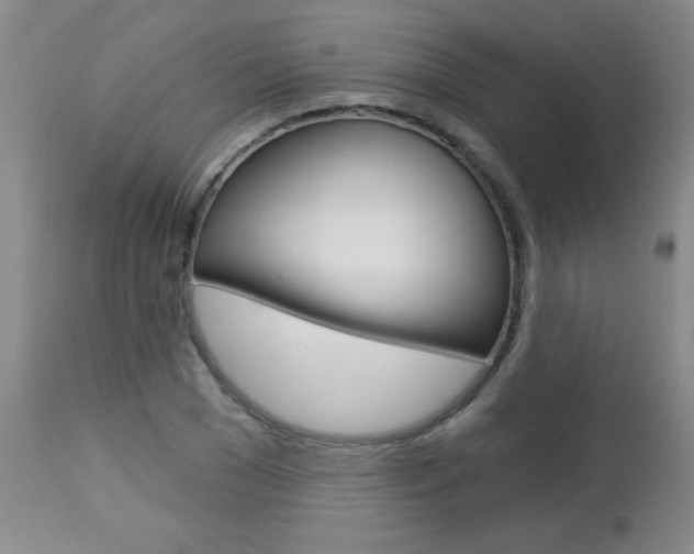 X0000112460977200908171011