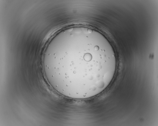 X0000112460978200908171011